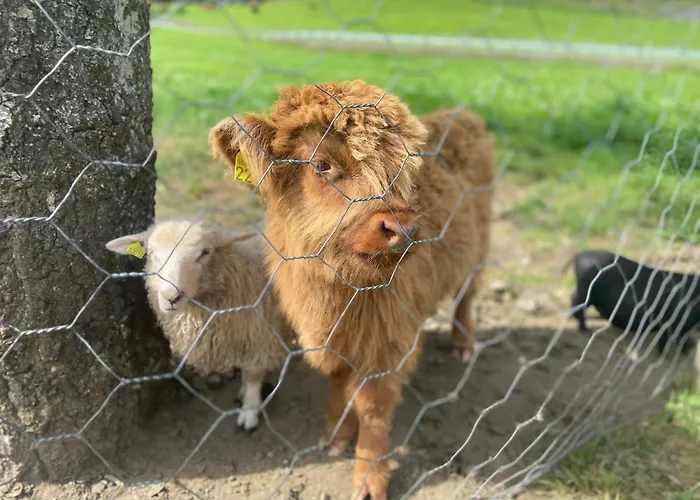 Brekke Lägenhet Flåm